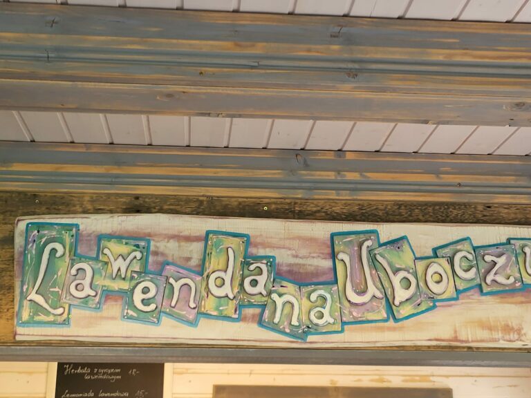 Piąty tydzień półkolonii