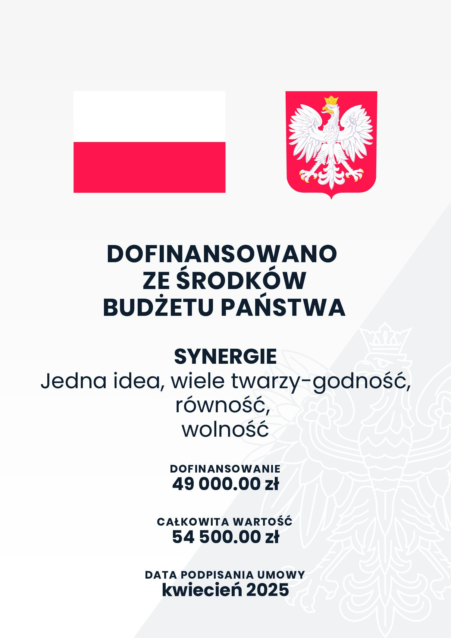 Biblioteka z grantem Narodowego Centrum Kultury w programie SYNERGIE